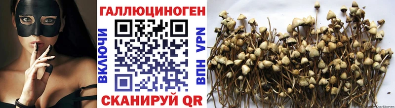 Купить где  Сертолово  Псилоцибиновые грибы ЛСД 